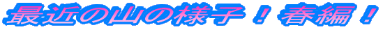 ŋ߂̎R̗lqItҁI