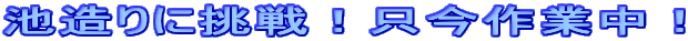 rɒIƒI